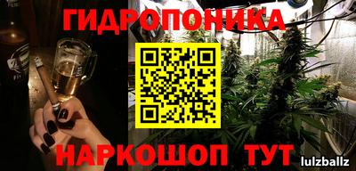 стафф Владимир
