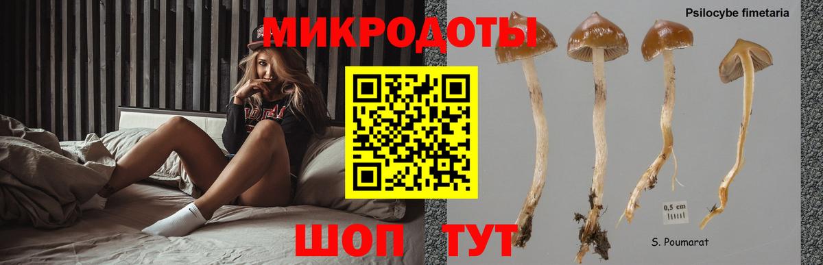 Новый Уренгой  Псилоцибиновые грибы прущие грибы  Вход с VPN 